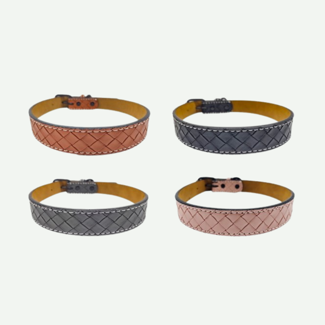 Collar para perro Ajustable