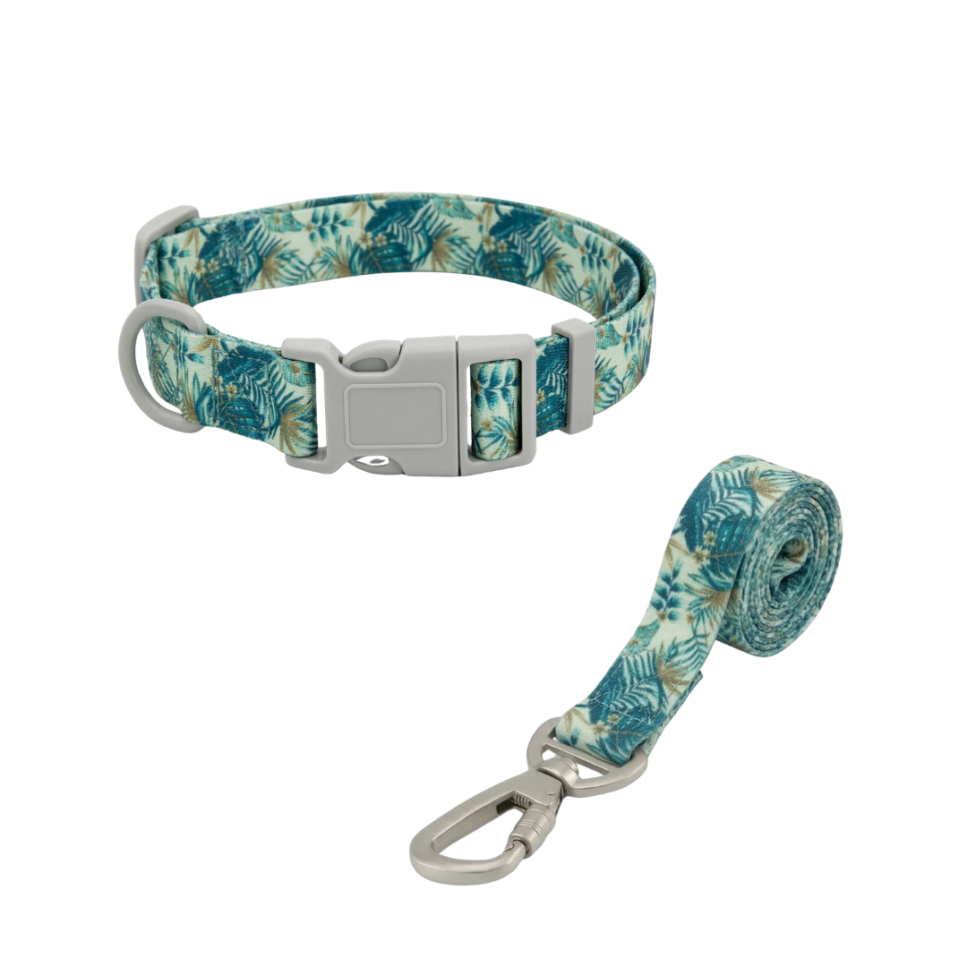 Jungle | Conjunto Collar y Correa de Paseo para Perros