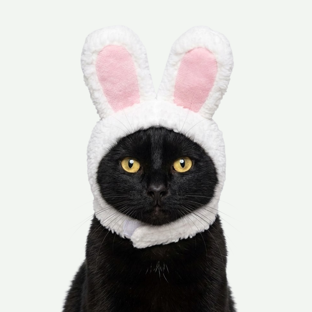 Gorrito de Conejo