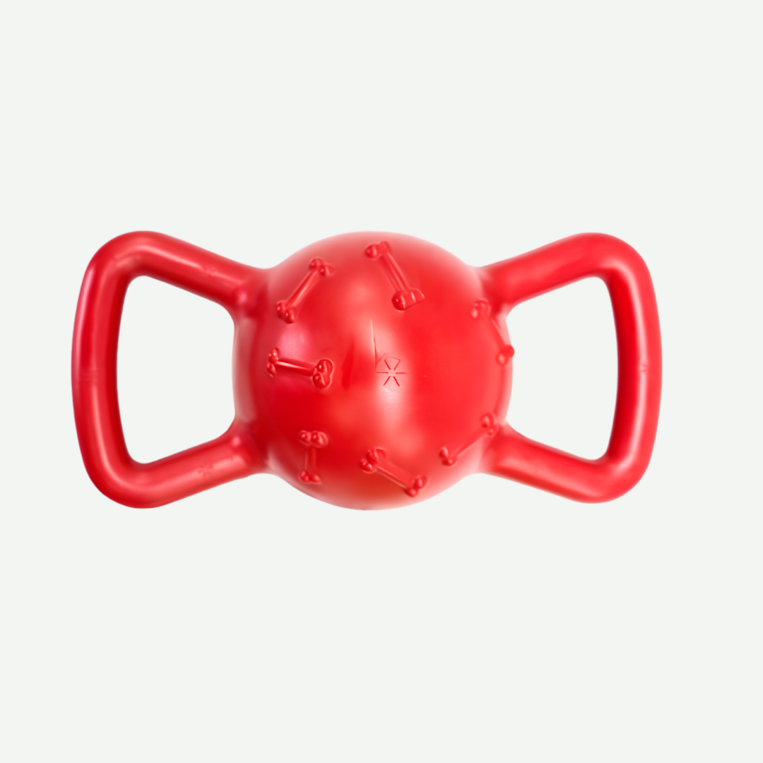 Juguete masticador Pesa Flasa