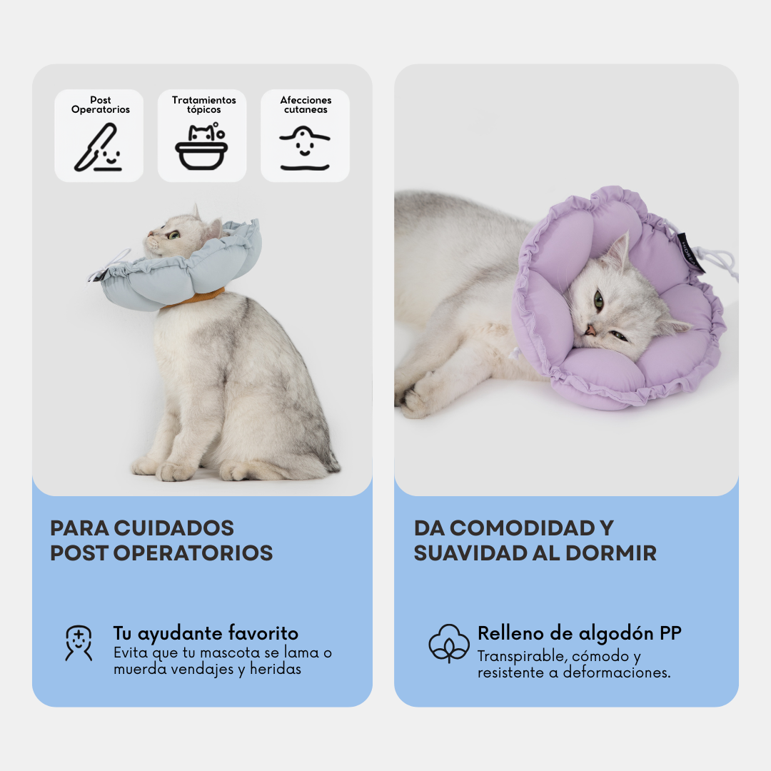 Collar Isabelino Acolchado Ajustable