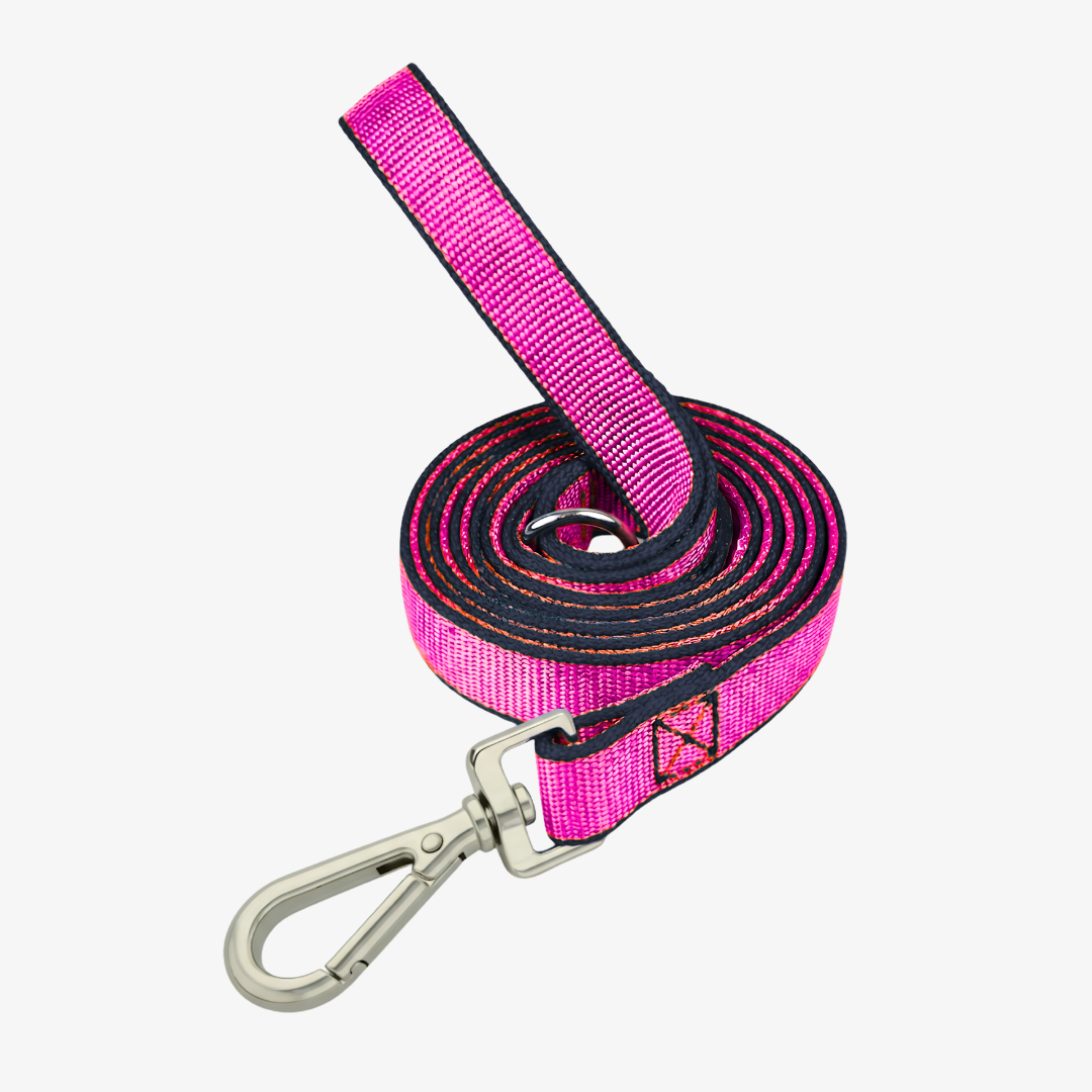 Correa de paseo plana 3mts*2.5cm