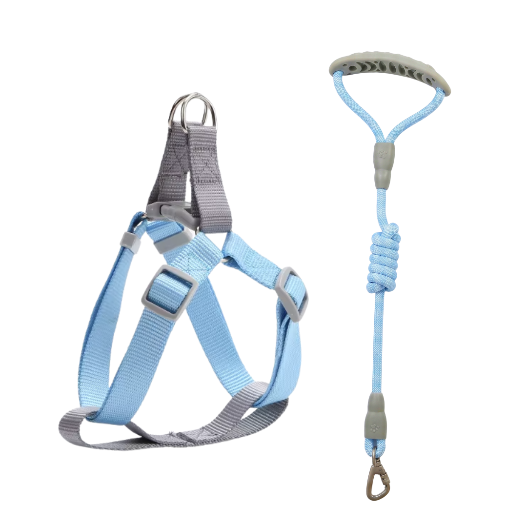 Conjunto Arnés + Correa Paseo Ligero 1.5mts