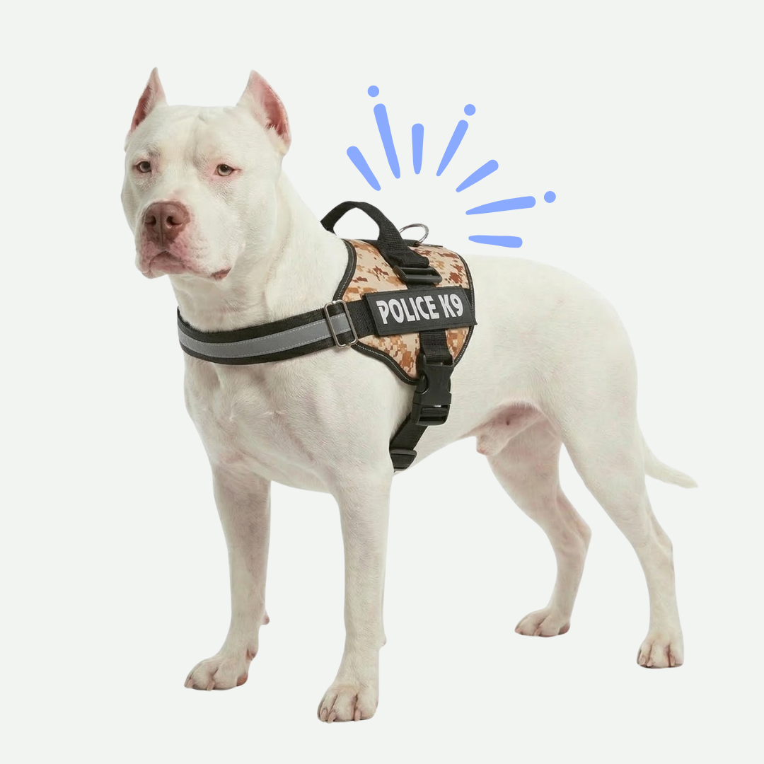 Arneses Para Perro