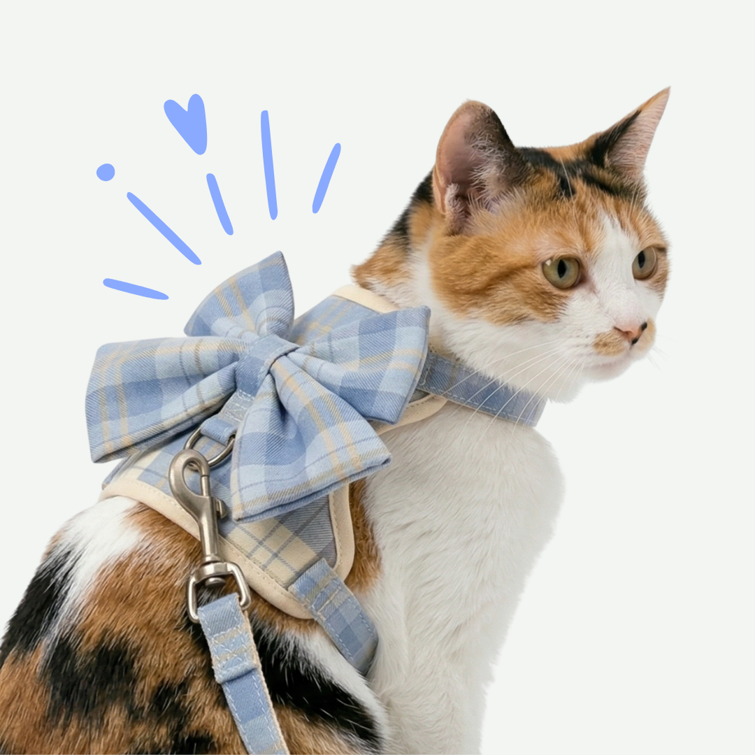 Arneses Para gato