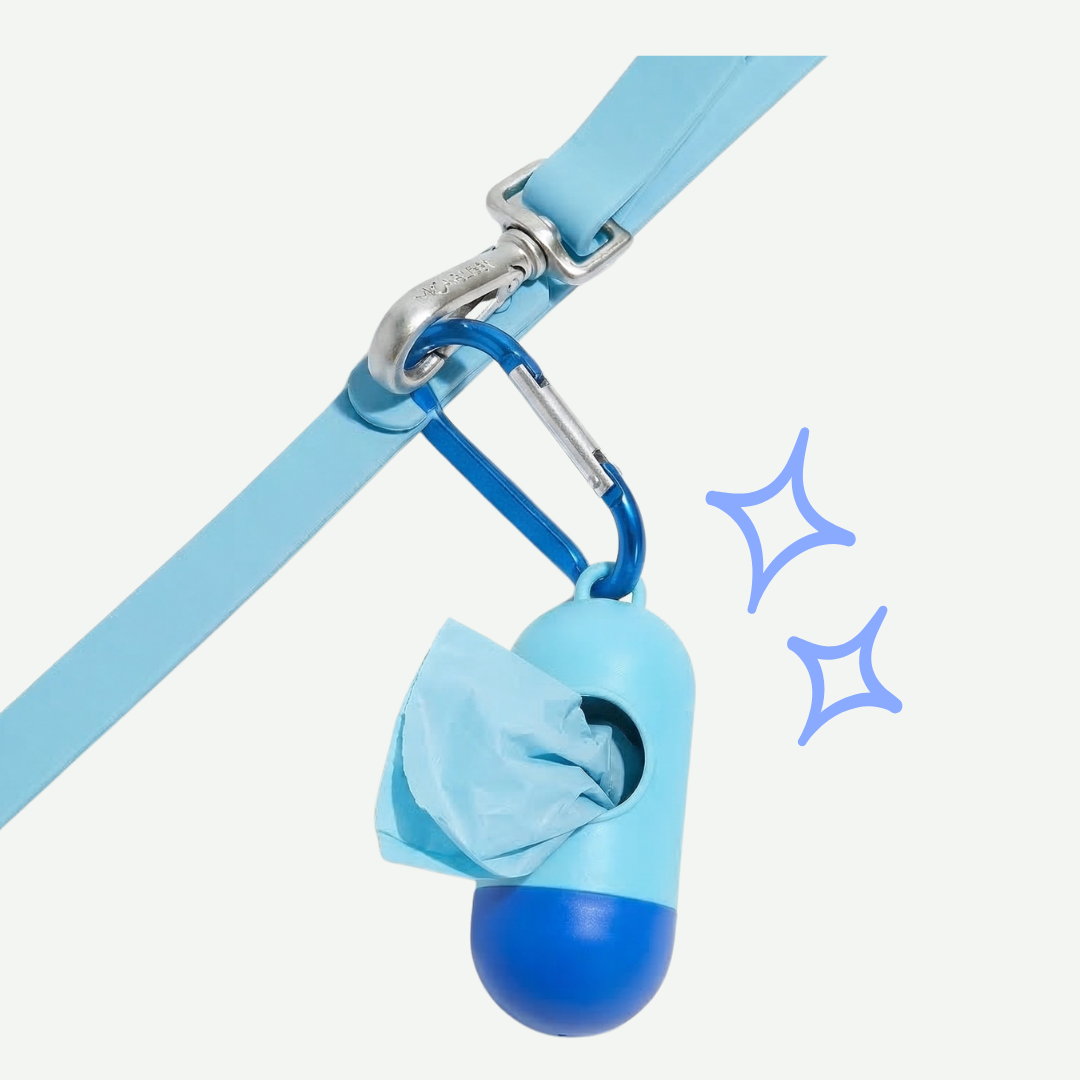 Accesorios Para Perro