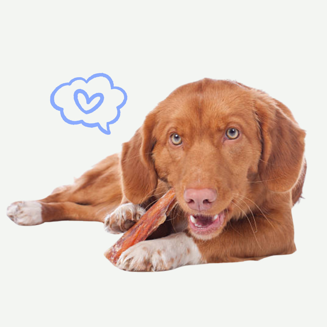 Snack Para Perro