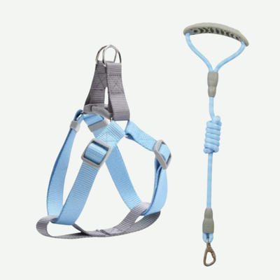 Conjunto Arnés + Correa Paseo Ligero 1.5mts