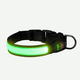 Collar para perro Luz LED