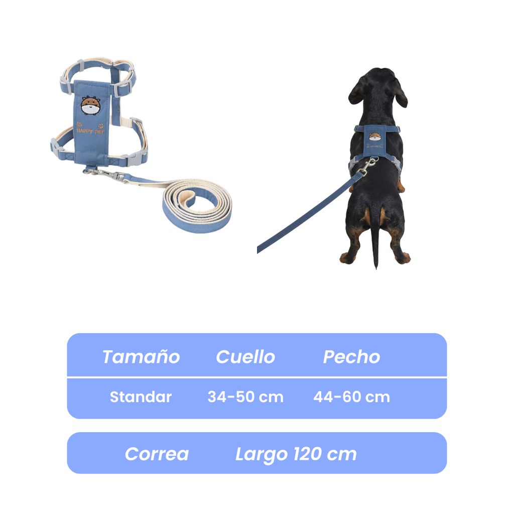 Conjunto Arnés y Correa Para mascotas