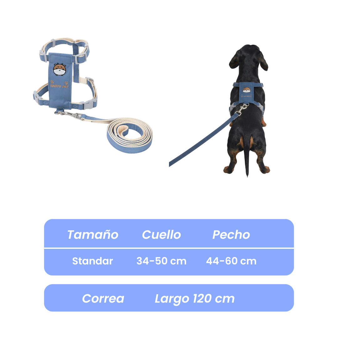 Conjunto Arnés y Correa Para mascotas