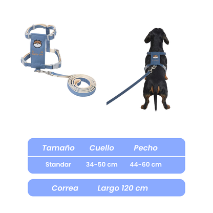 Conjunto Arnés y Correa Para mascotas