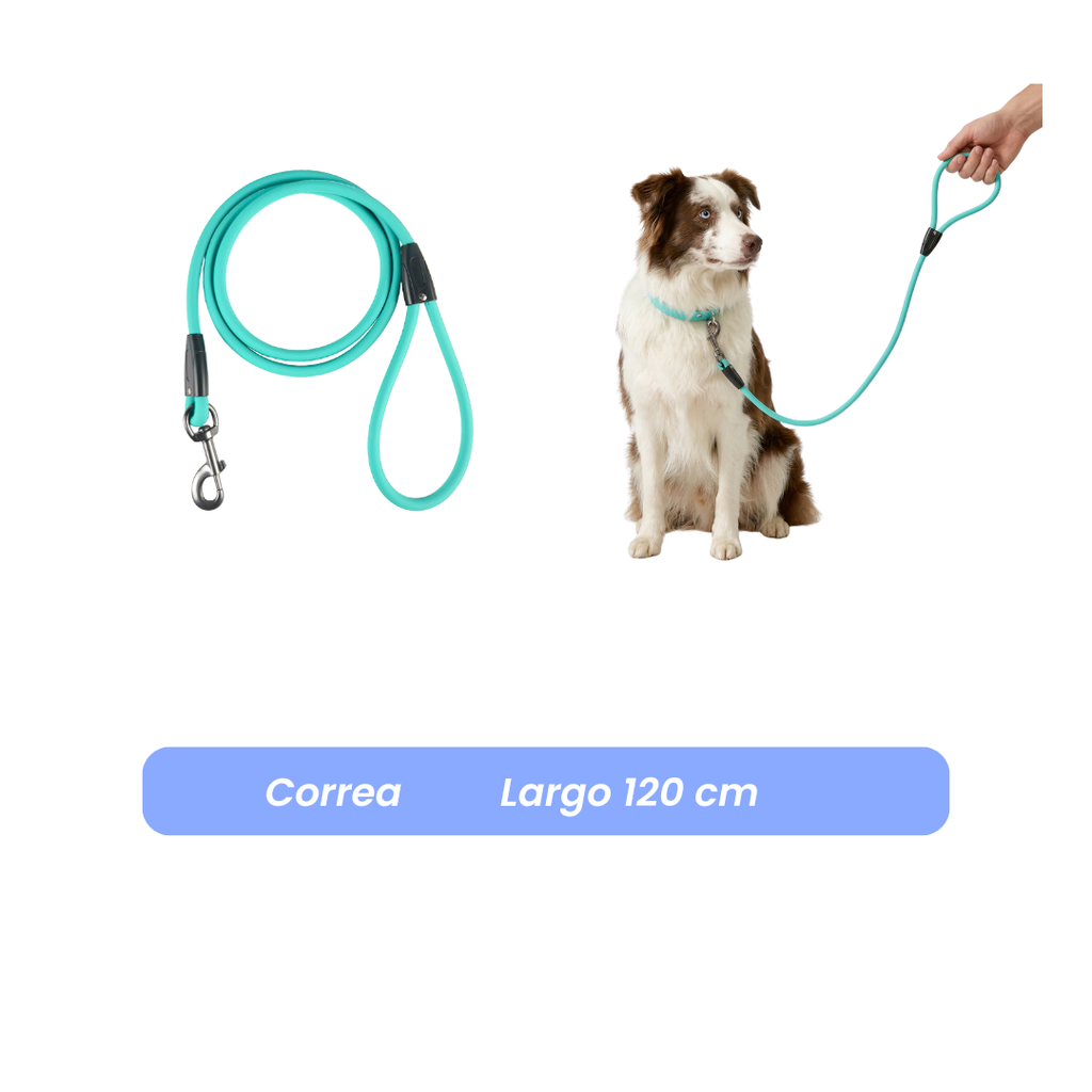 Correa de paseo PVC Impermeable  1.2mts * 1cm