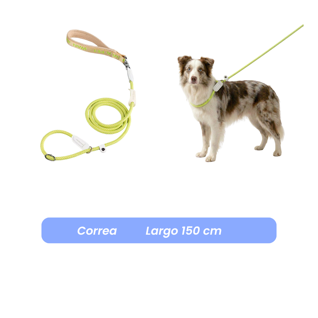 Correa Antitirones  Slip Leash de paseo 1.5 mts