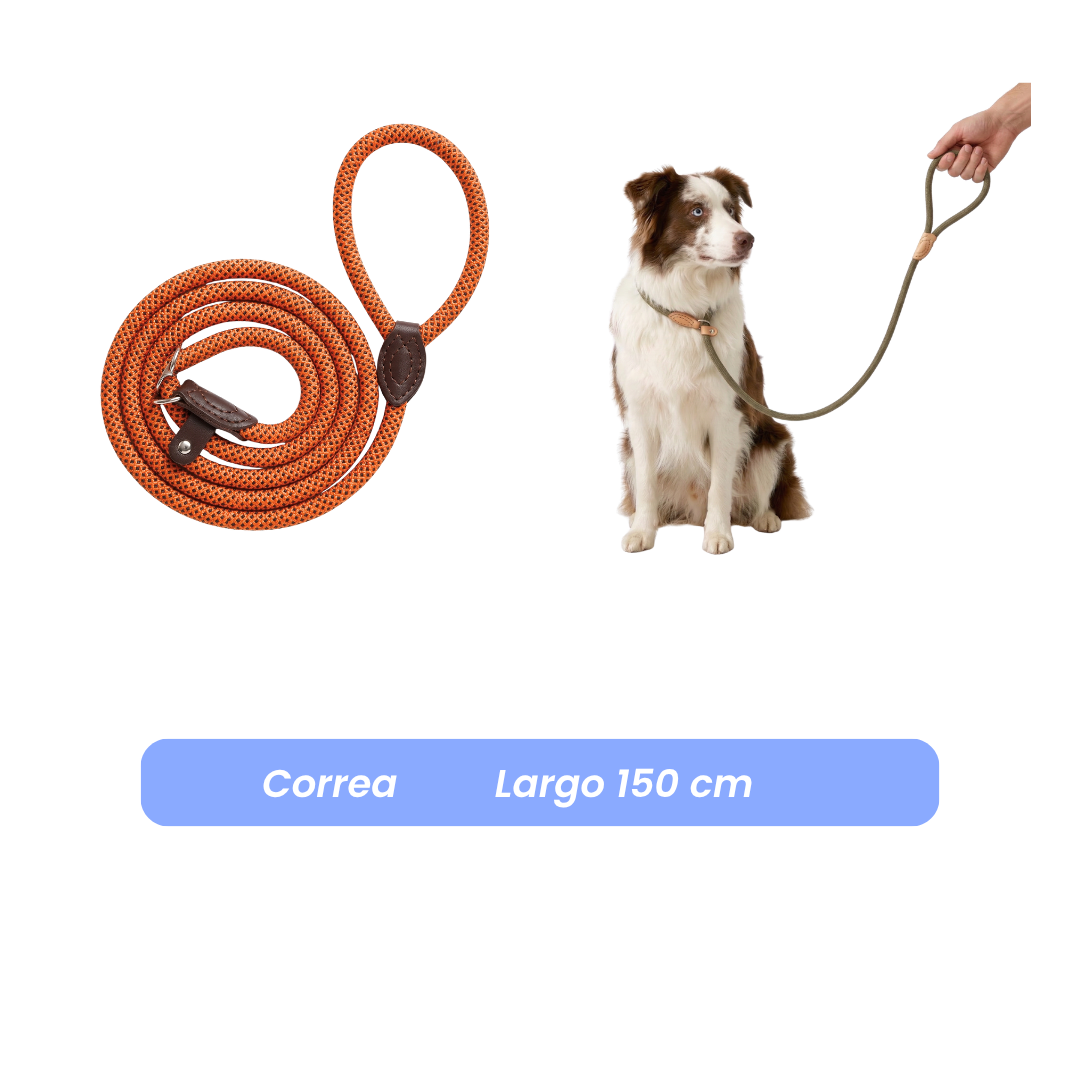 Correa Antitirones  Slip Leash de paseo 1.5 mts