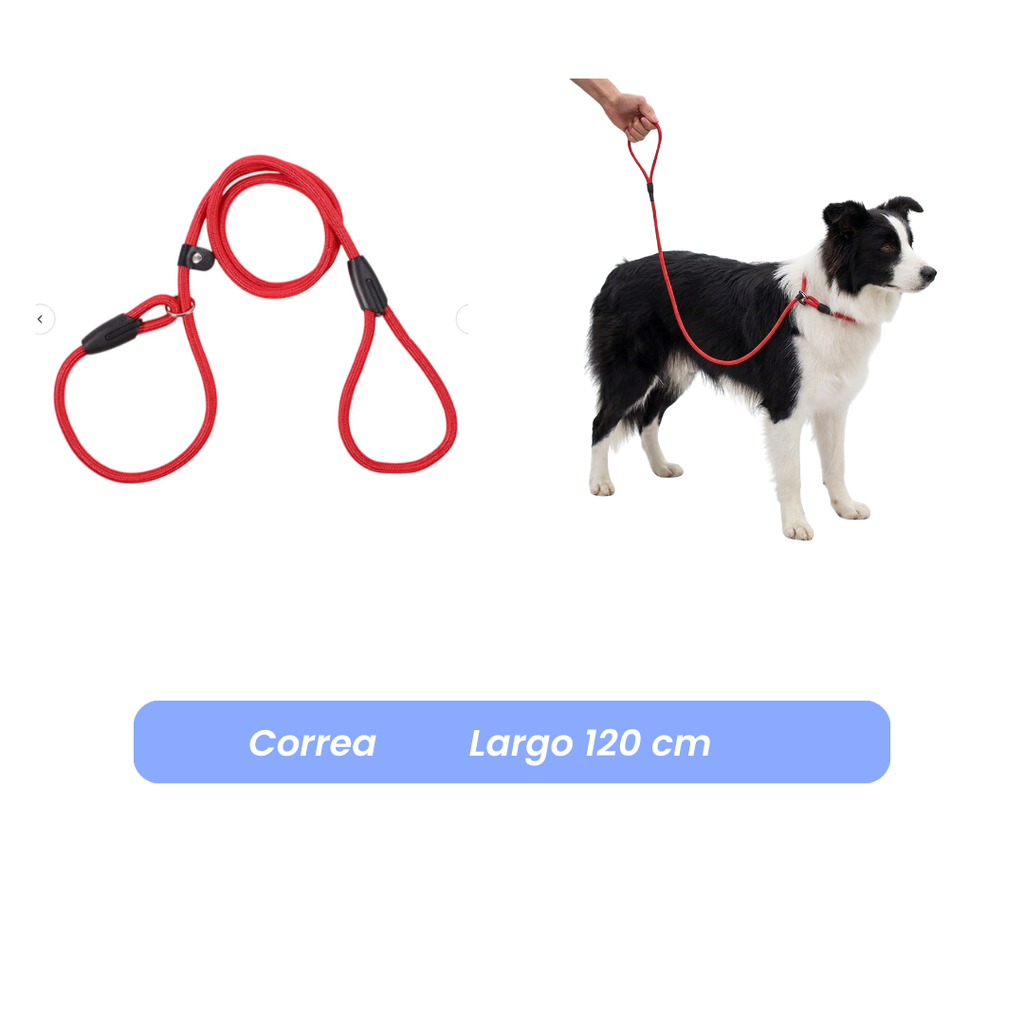 Correa Antitirones  Slip Leash de paseo 1.2 mts