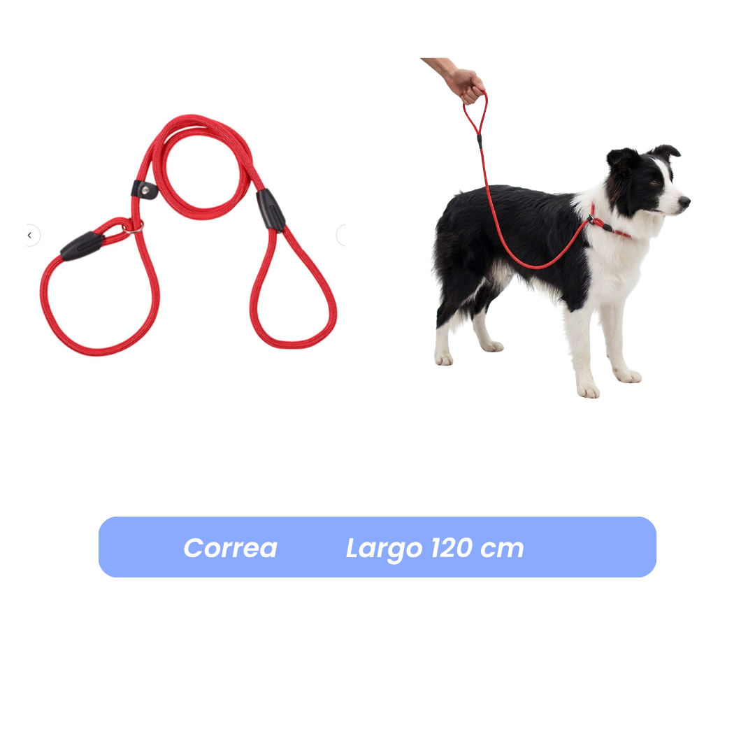 Correa Antitirones  Slip Leash de paseo 1.2 mts