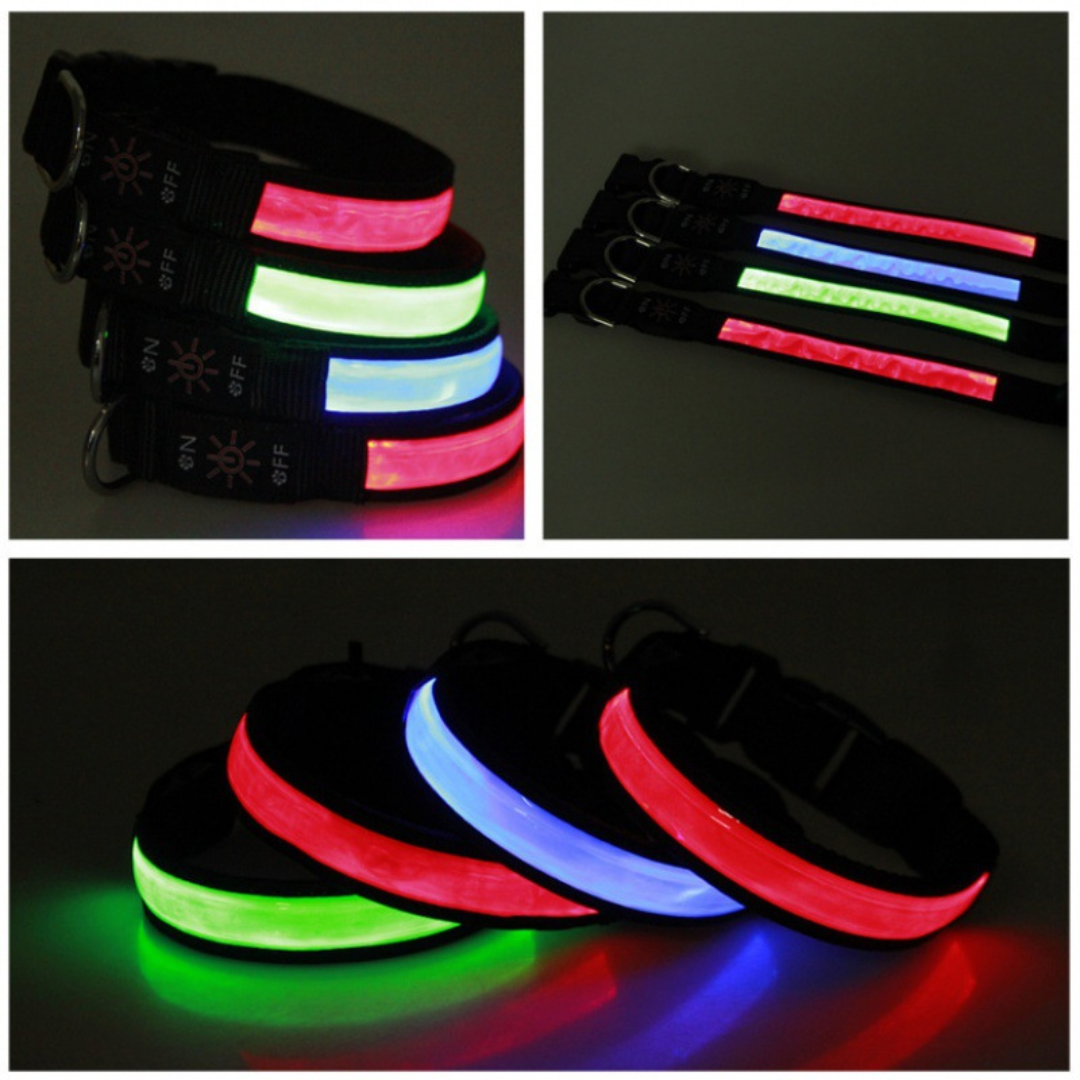 Collar para perro Luz LED
