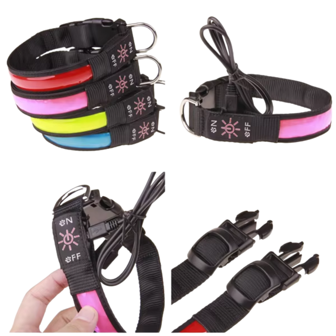 Collar para perro Luz LED