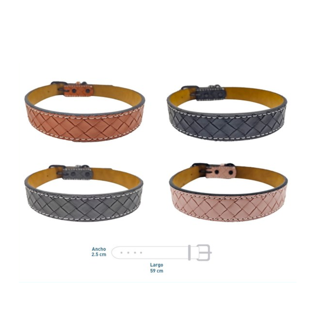 Collar para perro Ajustable