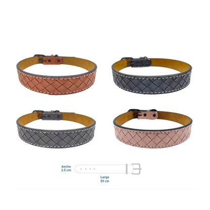 Collar para perro Ajustable
