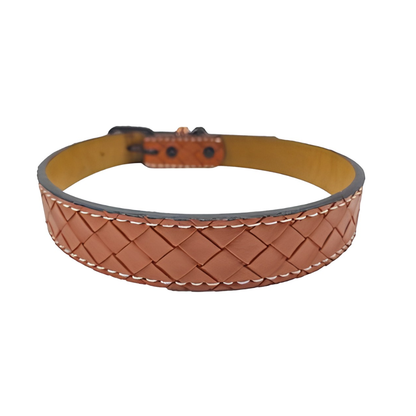 Collar para perro Ajustable