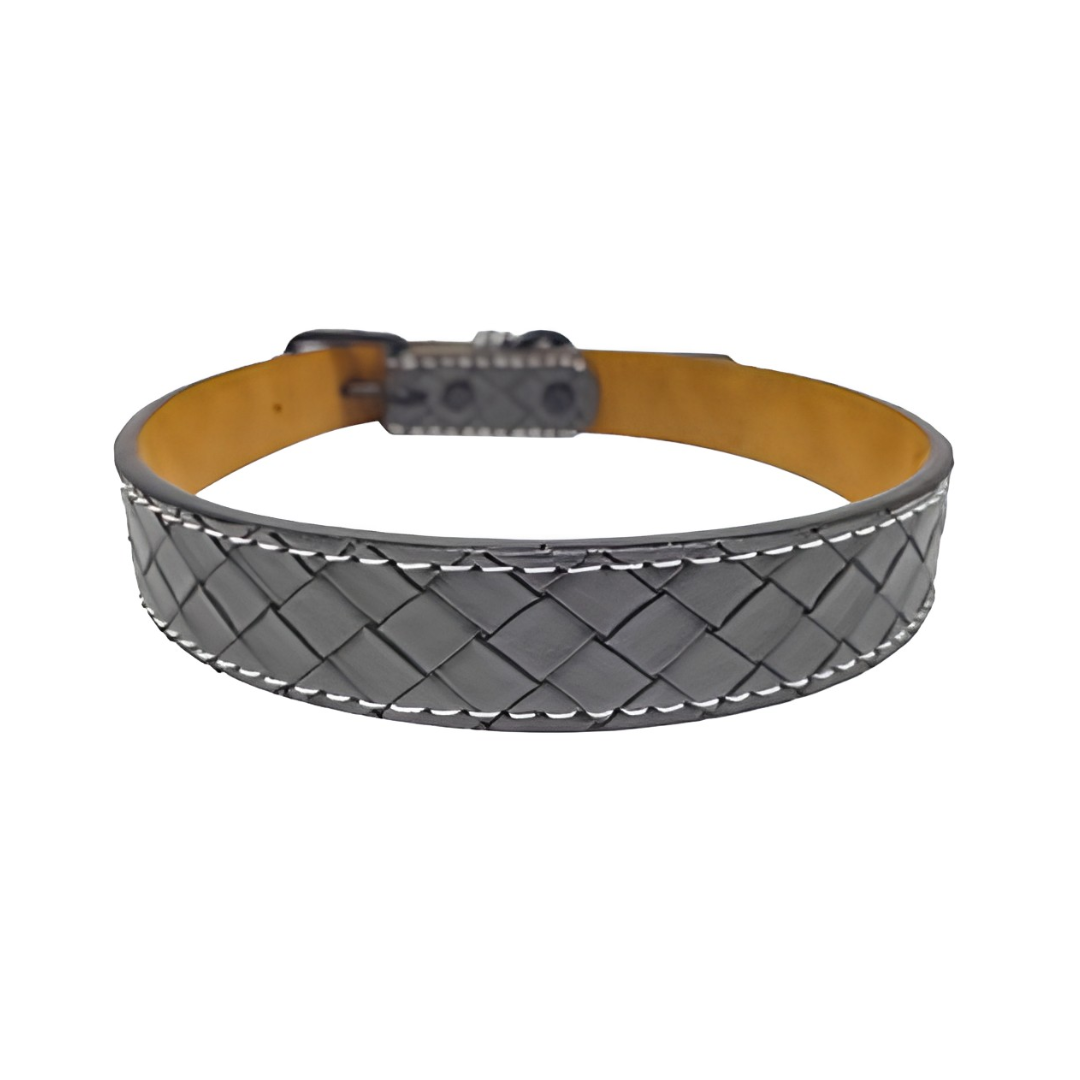 Collar para perro Ajustable