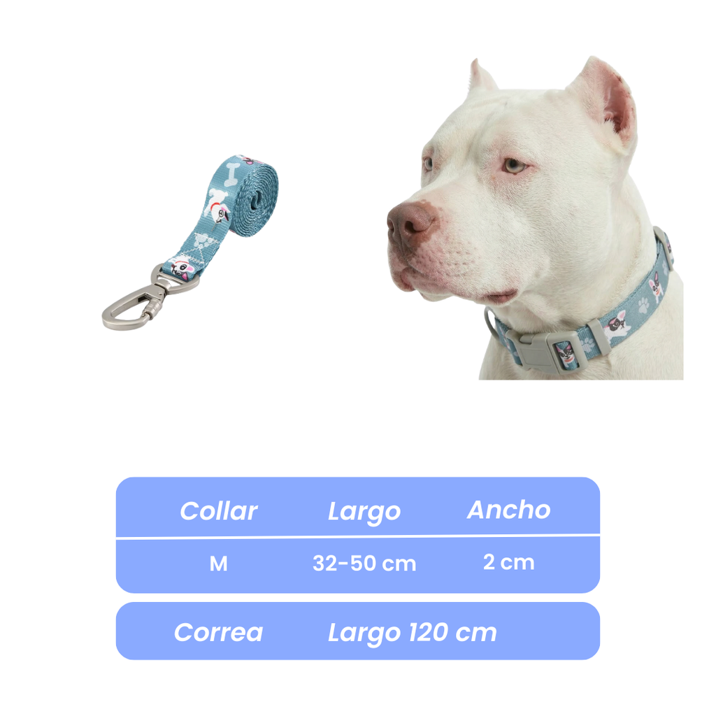 Conjunto Collar y Correa de Paseo para Perros