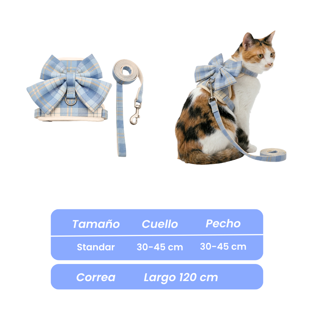 Conjunto Arnés + Correa Paseo Rosetón