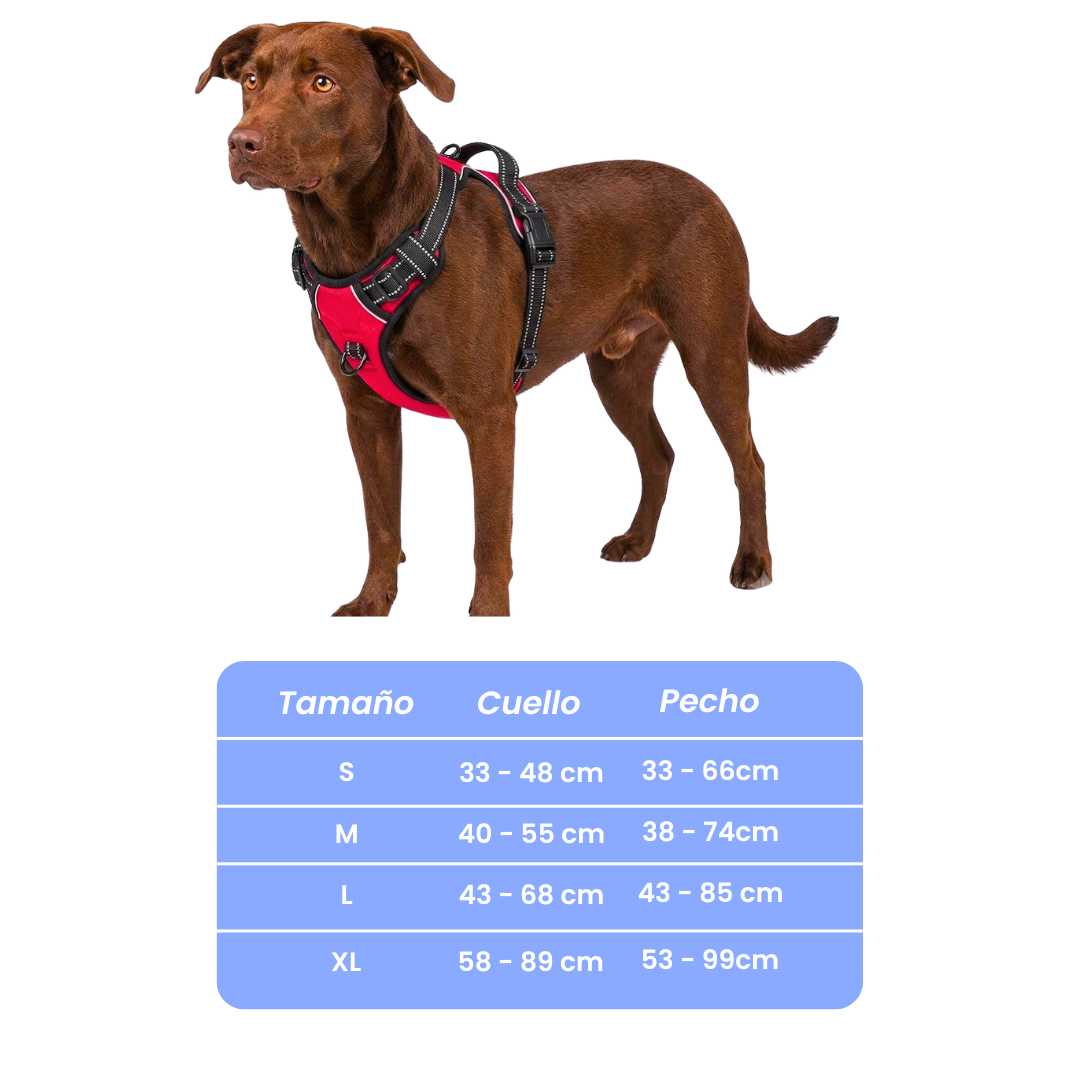 Arnés de paseo Colores