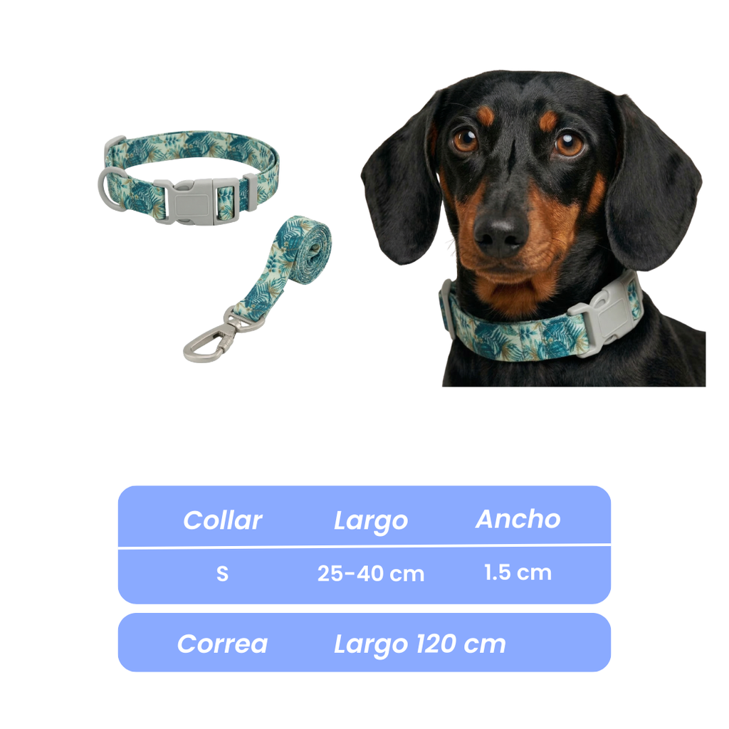 Jungle | Conjunto Collar y Correa de Paseo para Perros