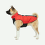 Chaqueta forrada impermeable Razas Grandes