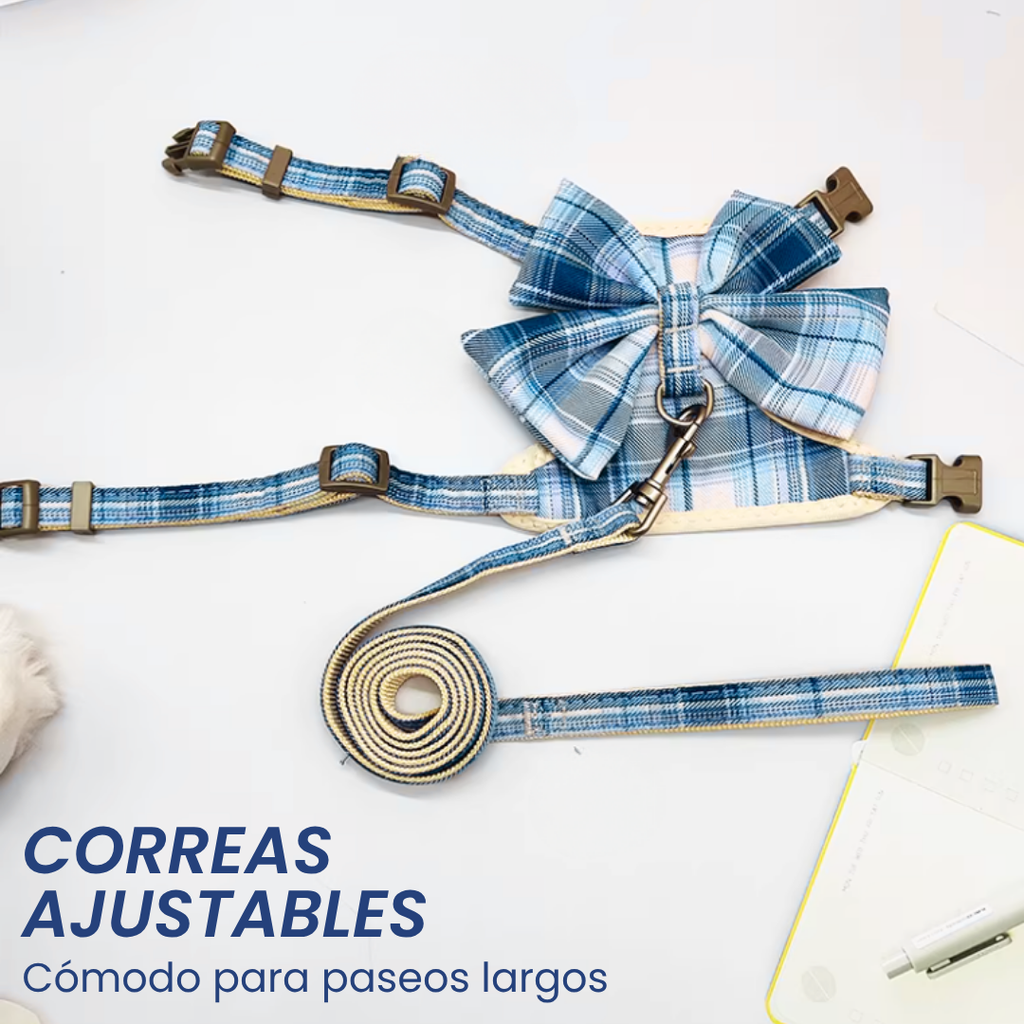 Conjunto Arnés + Correa Paseo Rosetón