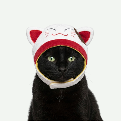 Gorrito de Gato