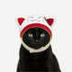 Gorrito de Gato