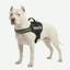 Arnés Police K9 para perros Colores