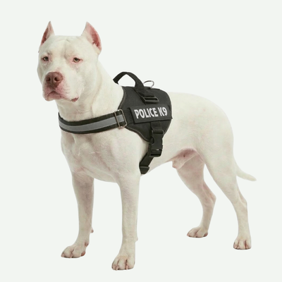 Arnés Police K9 para perros Colores