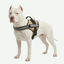 Arnés Police K9 para perros Camuflaje