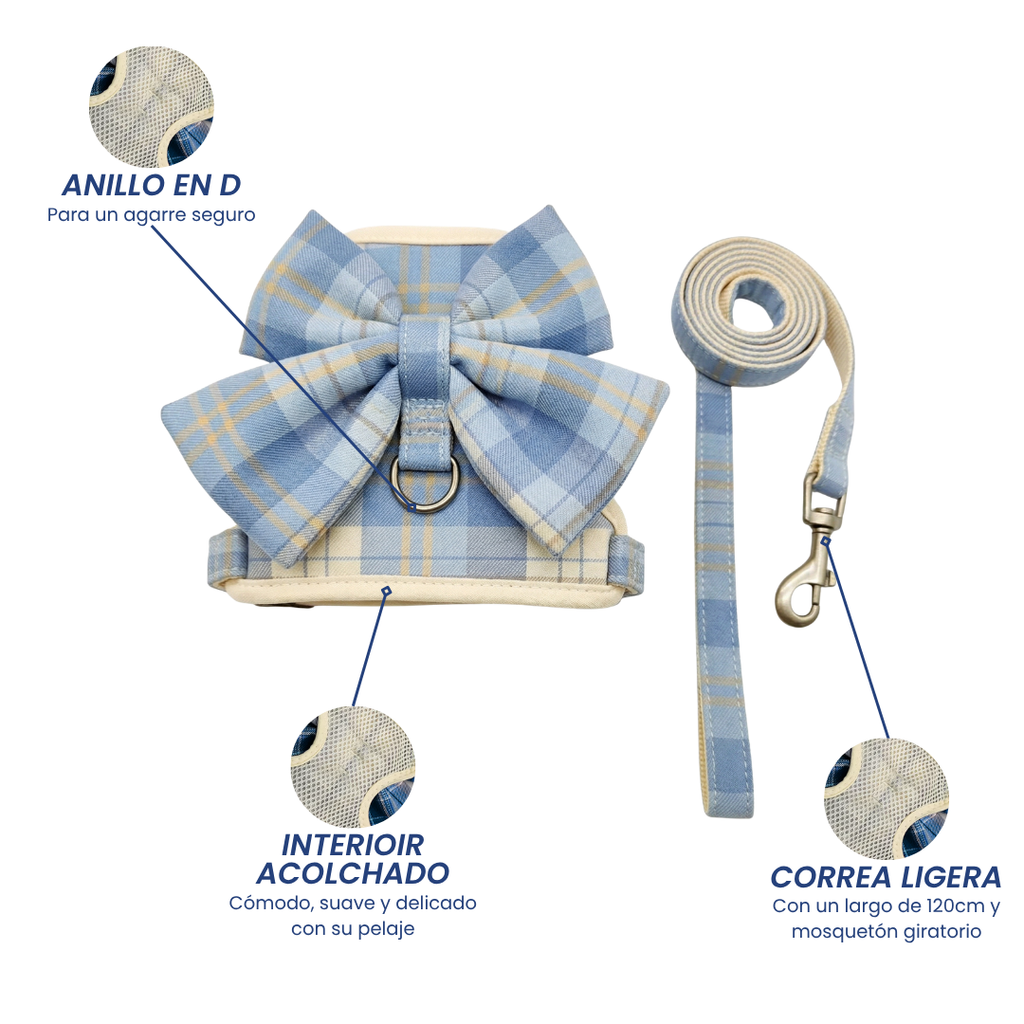 Conjunto Arnés + Correa Paseo Rosetón