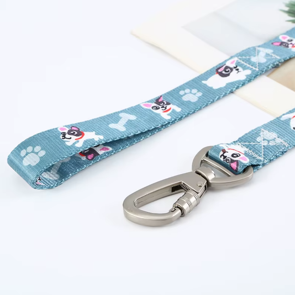 Conjunto Collar y Correa de Paseo para Perros