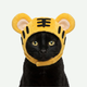 Gorrito de Tigre