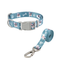 Conjunto Collar y Correa de Paseo para Perros