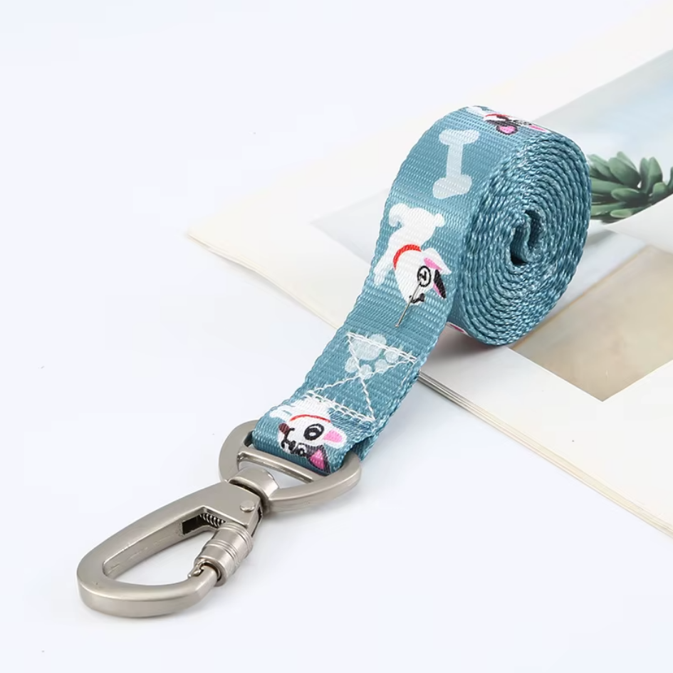 Conjunto Collar y Correa de Paseo para Perros