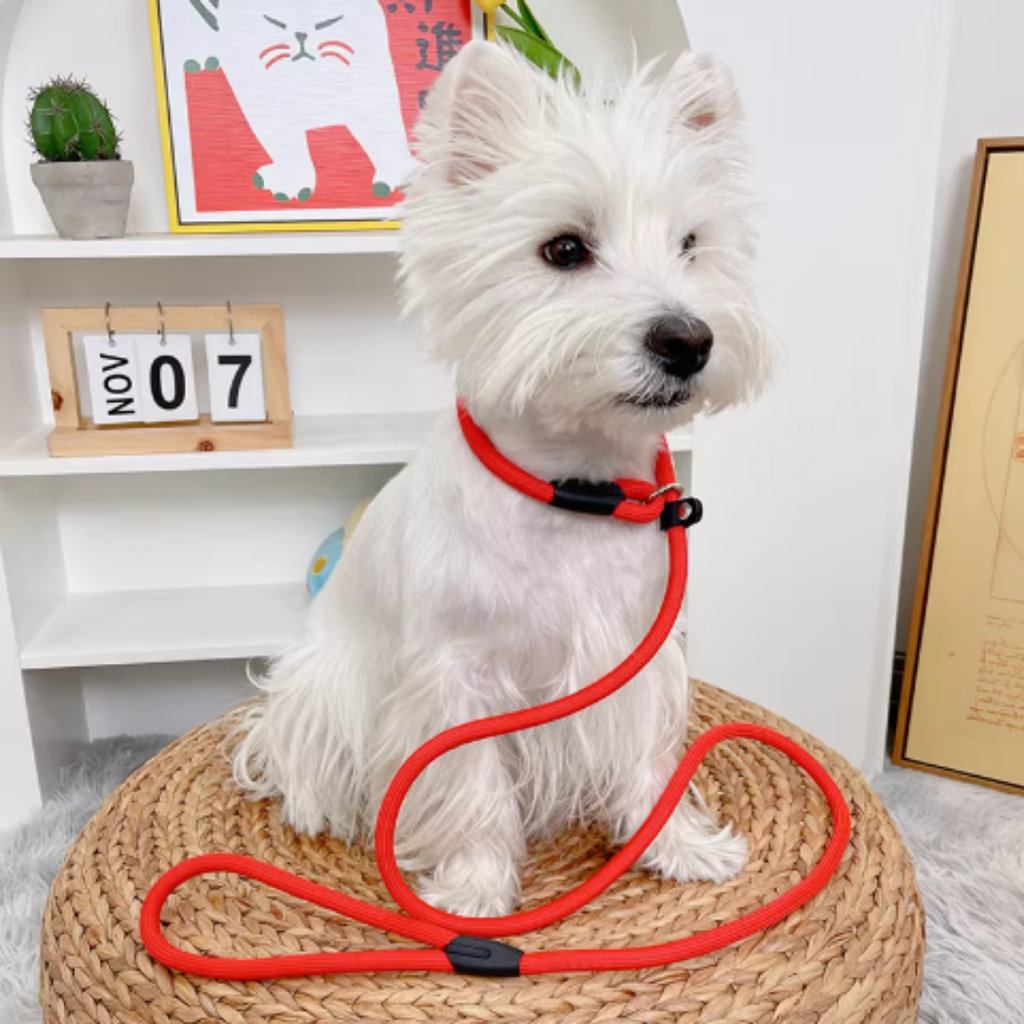 Correa Antitirones  Slip Leash de paseo 1.2 mts