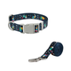 Conjunto Collar y Correa de Paseo para Perros