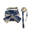 Conjunto Arnés + Correa Paseo Rosetón