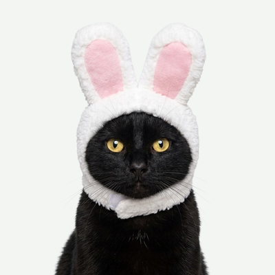 Gorrito de Conejo