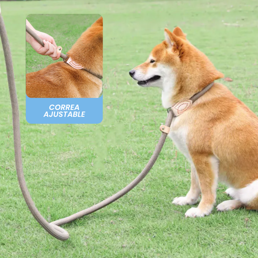 Correa Antitirones  Slip Leash de paseo 1.5 mts