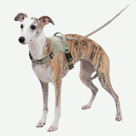 Arnés Urban H para perros - Hidream