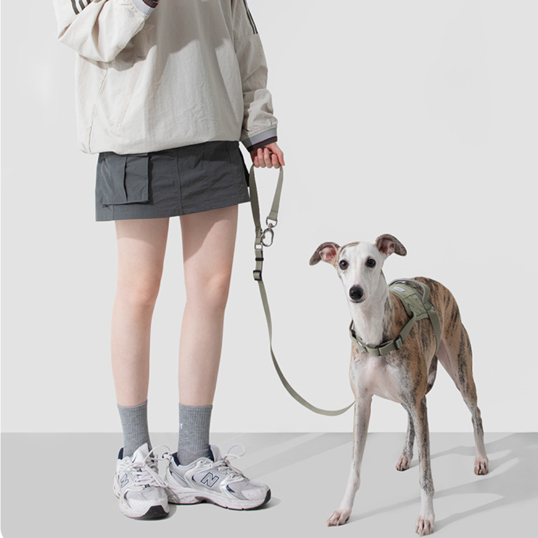 Arnés Urban H para perros - Hidream